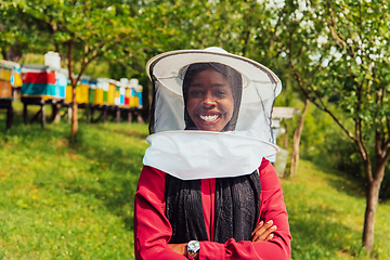 Image showing Portrait of an Arab investor located on a large honey farm. Investing in small businesses