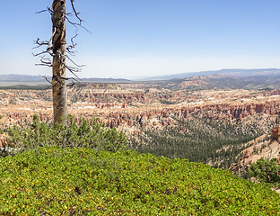 Image showing Bryce Canyon National Park