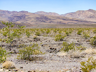 Image showing Death Valley National Park
