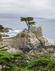 Image showing idyllic coastal scenery in California