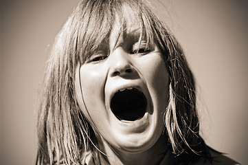 Image showing the scream