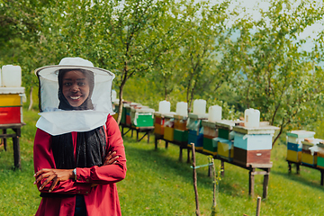 Image showing Portrait of an Arab investor located on a large honey farm. Investing in small businesses