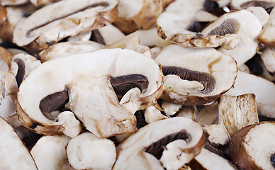 Image showing mushrooms