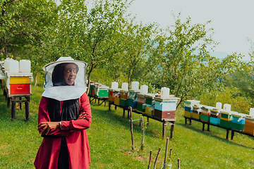 Image showing Portrait of an Arab investor located on a large honey farm. Investing in small businesses