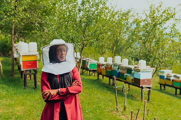 Image showing Portrait of an Arab investor located on a large honey farm. Investing in small businesses