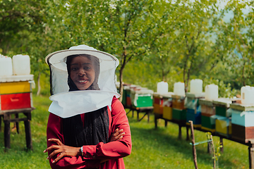 Image showing Portrait of an Arab investor located on a large honey farm. Investing in small businesses