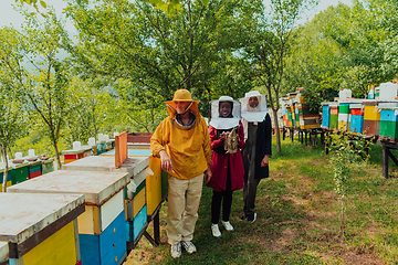 Image showing Arab woman investitors with an experienced senior beekeeper checking the quality and production of honey at a large bee farm