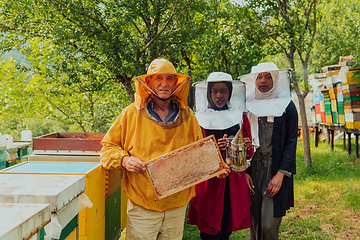 Image showing Arab woman investitors with an experienced senior beekeeper checking the quality and production of honey at a large bee farm