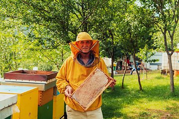 Image showing Senior beekeeper checking how the honey production is progressing. Photo of a beekeeper with a comb of honey