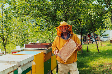 Image showing Senior beekeeper checking how the honey production is progressing. Photo of a beekeeper with a comb of honey