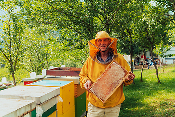 Image showing Senior beekeeper checking how the honey production is progressing. Photo of a beekeeper with a comb of honey