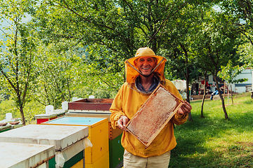 Image showing Senior beekeeper checking how the honey production is progressing. Photo of a beekeeper with a comb of honey