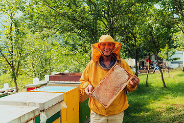 Image showing Senior beekeeper checking how the honey production is progressing. Photo of a beekeeper with a comb of honey