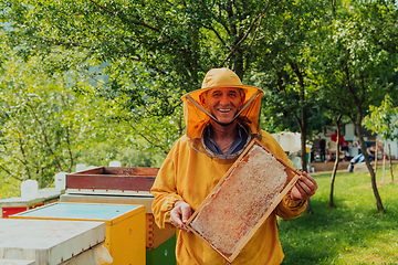 Image showing Senior beekeeper checking how the honey production is progressing. Photo of a beekeeper with a comb of honey