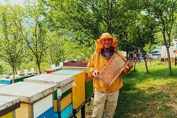 Image showing Senior beekeeper checking how the honey production is progressing. Photo of a beekeeper with a comb of honey