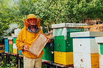 Image showing Senior beekeeper checking how the honey production is progressing. Photo of a beekeeper with a comb of honey