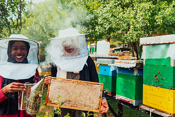 Image showing Arab investors checking the quality of honey on a large honey farm in which they invested their money. The concept of investing in small businesses