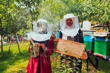 Image showing Arab investors checking the quality of honey on a large honey farm in which they invested their money. The concept of investing in small businesses