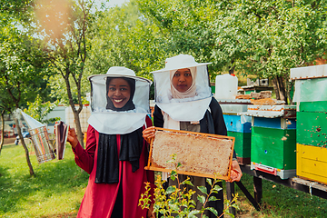 Image showing Arab investors checking the quality of honey on a large honey farm in which they invested their money. The concept of investing in small businesses