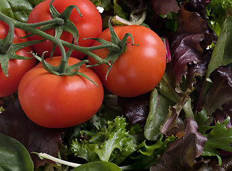 Image showing tomatoes and lettuce