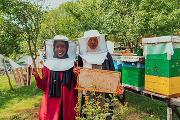 Image showing Arab investors checking the quality of honey on a large honey farm in which they invested their money. The concept of investing in small businesses