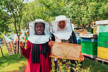 Image showing Arab investors checking the quality of honey on a large honey farm in which they invested their money. The concept of investing in small businesses