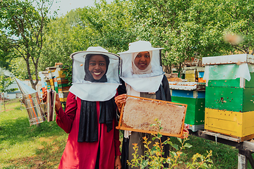 Image showing Arab investors checking the quality of honey on a large honey farm in which they invested their money. The concept of investing in small businesses