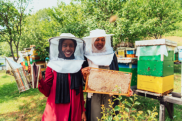 Image showing Arab investors checking the quality of honey on a large honey farm in which they invested their money. The concept of investing in small businesses