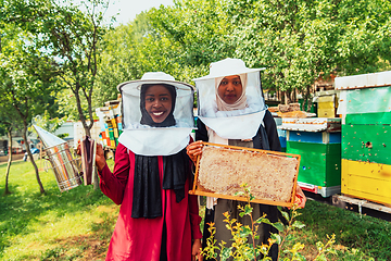 Image showing Arab investors checking the quality of honey on a large honey farm in which they invested their money. The concept of investing in small businesses