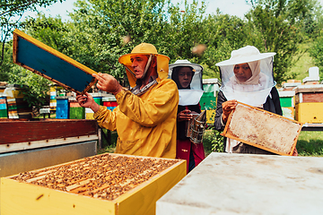 Image showing Two Arab investors checking the quality of honey on a large bee farm in which they have invested their money. The concept of investing in small businesses