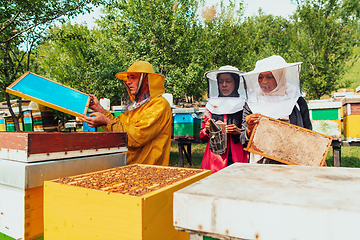 Image showing Two Arab investors checking the quality of honey on a large bee farm in which they have invested their money. The concept of investing in small businesses