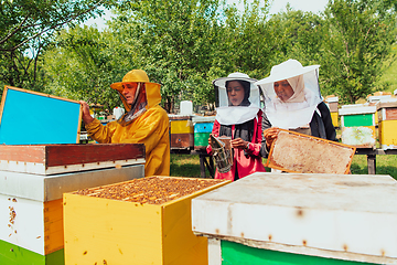 Image showing Arab investors checking the quality of honey on a large bee farm in which they have invested their money. The concept of investing in small businesses