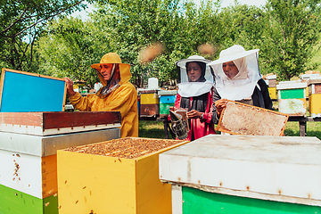 Image showing Arab investors checking the quality of honey on a large bee farm in which they have invested their money. The concept of investing in small businesses