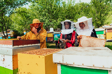 Image showing Arab investors checking the quality of honey on a large bee farm in which they have invested their money. The concept of investing in small businesses