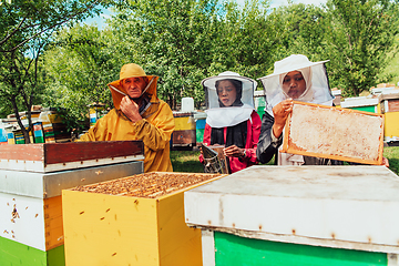 Image showing Arab investors checking the quality of honey on a large bee farm in which they have invested their money. The concept of investing in small businesses