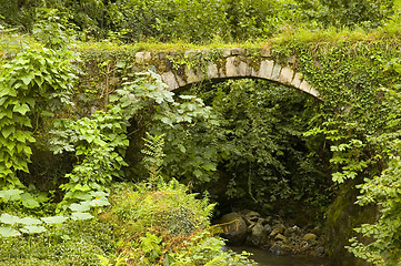 Image showing Old Bridge