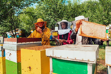 Image showing Arab investors checking the quality of honey on a large bee farm in which they have invested their money. The concept of investing in small businesses