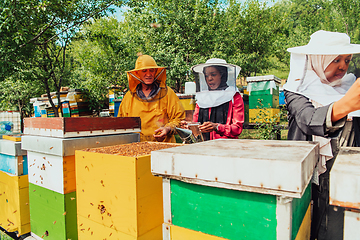 Image showing Arab investors checking the quality of honey on a large bee farm in which they have invested their money. The concept of investing in small businesses