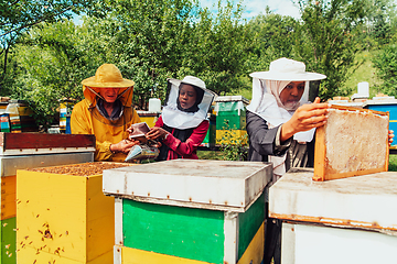 Image showing Arab investors checking the quality of honey on a large bee farm in which they have invested their money. The concept of investing in small businesses