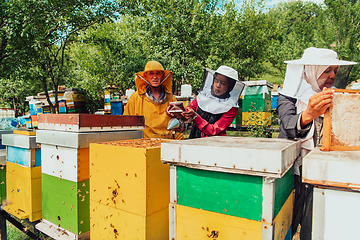 Image showing Arab investors checking the quality of honey on a large bee farm in which they have invested their money. The concept of investing in small businesses