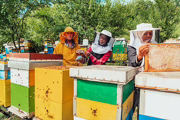 Image showing Arab investors checking the quality of honey on a large bee farm in which they have invested their money. The concept of investing in small businesses