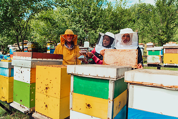 Image showing Arab investors checking the quality of honey on a large bee farm in which they have invested their money. The concept of investing in small businesses