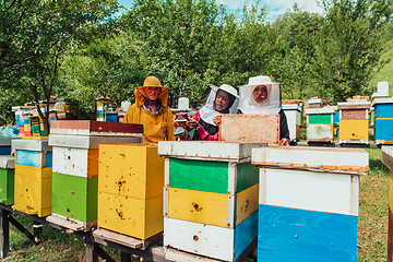 Image showing Arab investors checking the quality of honey on a large bee farm in which they have invested their money. The concept of investing in small businesses