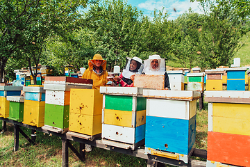 Image showing Arab investors checking the quality of honey on a large bee farm in which they have invested their money. The concept of investing in small businesses