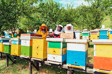 Image showing Arab investors checking the quality of honey on a large bee farm in which they have invested their money. The concept of investing in small businesses