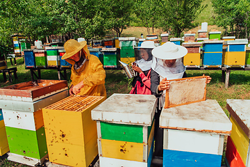 Image showing Arab investors checking the quality of honey on a large bee farm in which they have invested their money. The concept of investing in small businesses