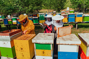 Image showing Arab investors checking the quality of honey on a large bee farm in which they have invested their money. The concept of investing in small businesses