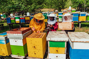 Image showing Arab investors checking the quality of honey on a large bee farm in which they have invested their money. The concept of investing in small businesses