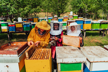 Image showing Arab investors checking the quality of honey on a large bee farm in which they have invested their money. The concept of investing in small businesses