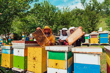 Image showing Arab investors checking the quality of honey on a large bee farm in which they have invested their money. The concept of investing in small businesses